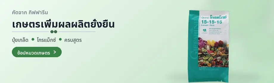 เกษตร