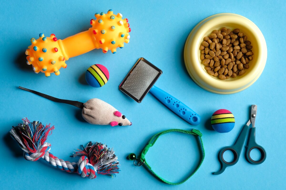 Pet care and training concept. Flat lay composition with accessories for dog and cat on blue background.