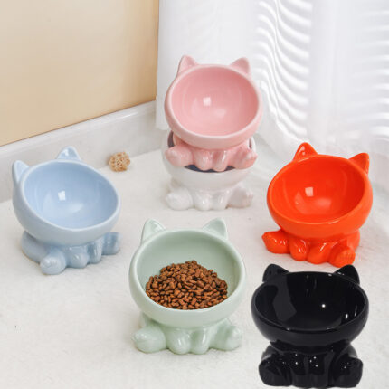 Ergonomic Tilted Ceramic Cat Bowl for Neck Protection