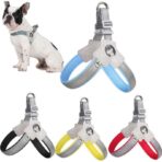 Reflective Y-Shaped Dog Harness: Adjustable No-Pull Safety Vest