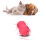 LED Rolling Cat Toy Ball — Auto-Rotating, Color-Changing LED + Catnip - Image 4